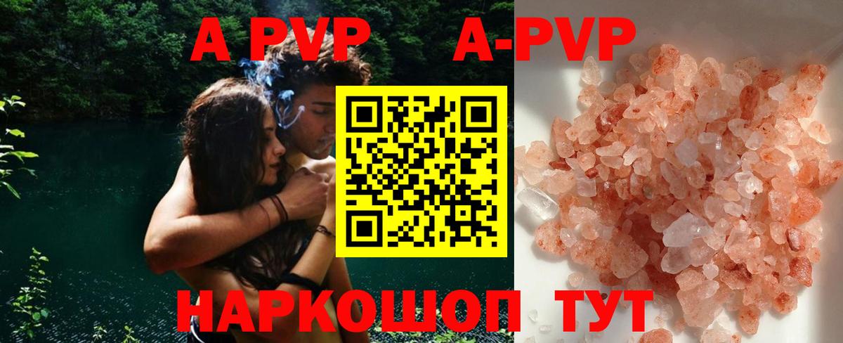 A PVP СК КРИС Нефтекумск