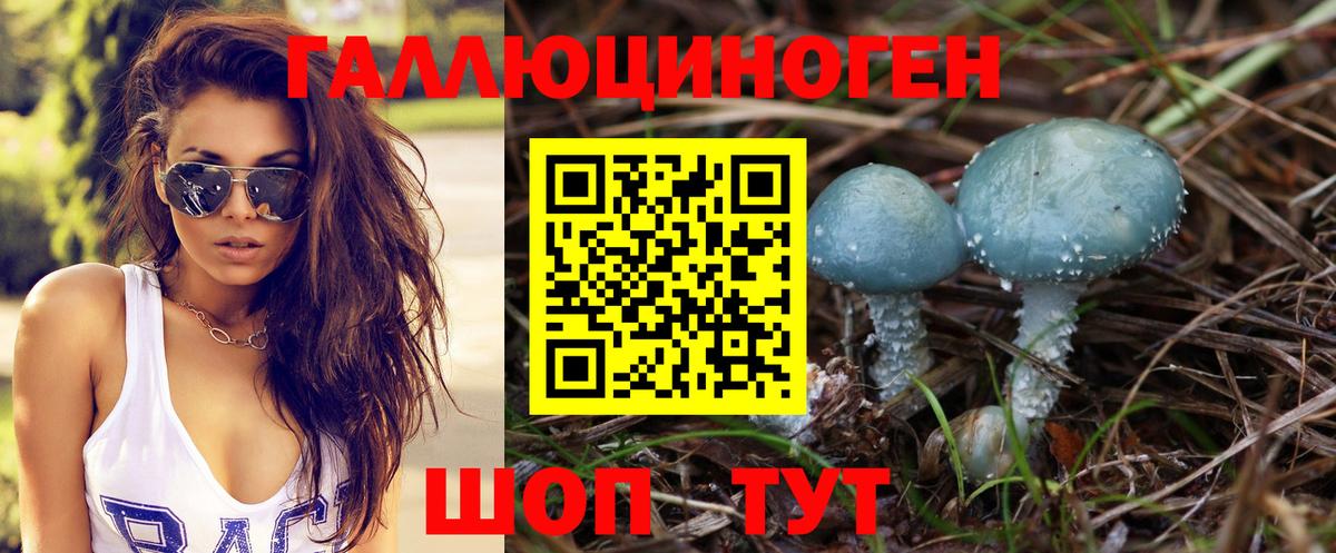 Галлюциногенные грибы Psilocybe  Вход с VPN  Нефтекумск 